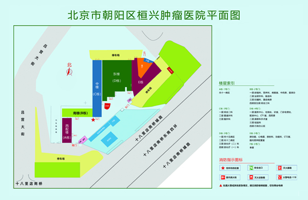 白虎逼在线北京市朝阳区桓兴肿瘤医院平面图